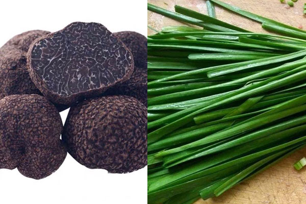 松露能和韭菜一起吃嗎，松露可以和木耳一起煮湯嗎