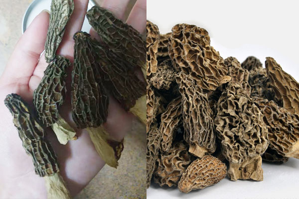 羊肚菌買帶柄好還是不帶柄，羊肚菌是否越小越貴