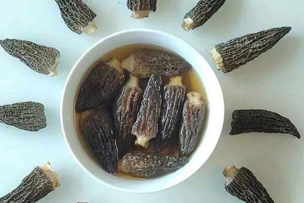 羊肚菌泡水喝正確方法，干羊肚菌一定要泡發(fā)嗎