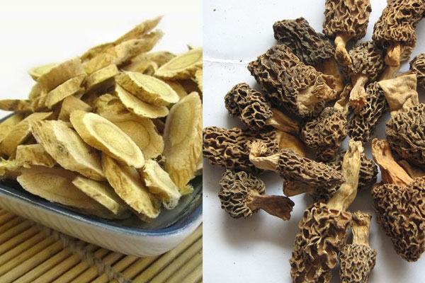 羊肚菌可以和黃芪一起煮嗎，羊肚菌黃芪湯的禁忌