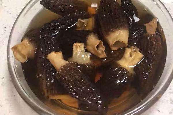 好的羊肚菌一斤有多少個(gè) 好的羊肚菌一斤有多少個(gè)