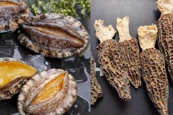羊肚菌和鮑魚能一起吃嗎，羊肚菌搭配鮑魚有禁忌嗎