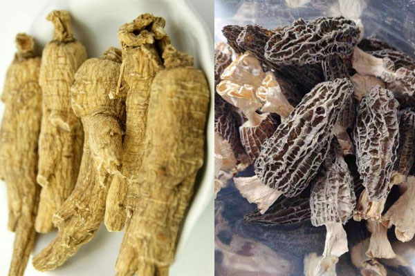 羊肚菌可以和花旗參一起煲雞湯嗎，羊肚菌花旗參怎么泡水喝