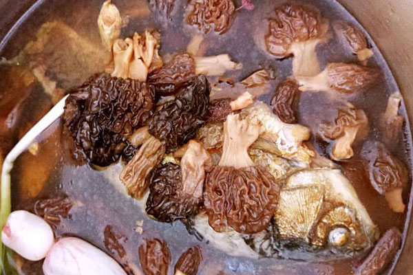 羊肚菌可以煲魚(yú)嗎