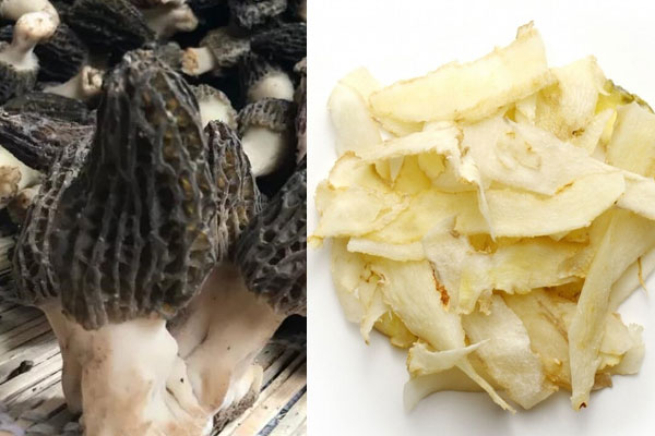 羊肚菌可以反復(fù)的泡水喝嗎，玉竹可以和羊肚菌一起燉雞嗎