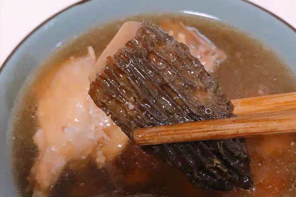 吃了變質(zhì)的羊肚菌會(huì)怎么樣 吃了變質(zhì)的羊肚菌會(huì)怎么樣