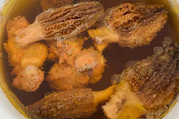 羊肚菌薏米燉湯的食用禁忌 羊肚菌薏米燉湯的食用禁忌