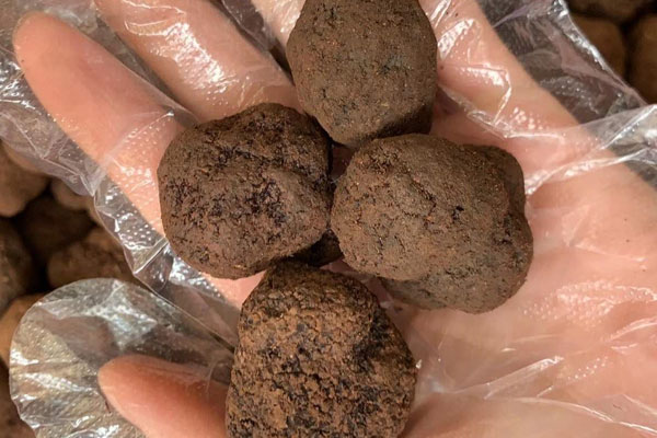 黑松露的賣相什么時候最好