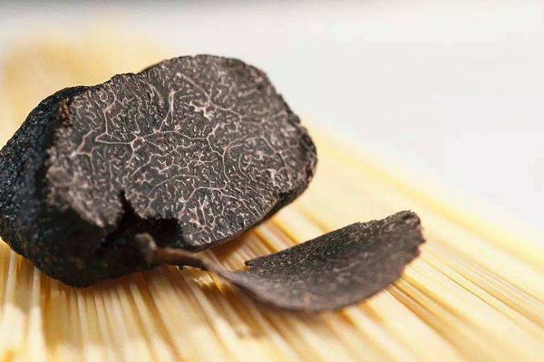 法國新鮮黑松露的采摘季節(jié)