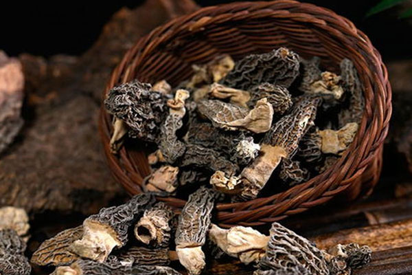 干羊肚菌怎么吃最好，羊肚菌當(dāng)歸湯每次吃多少