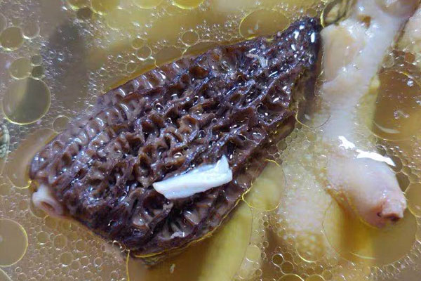 羊肚菌湯對牙神經(jīng)有刺激嗎，羊肚菌對胃有什么好處