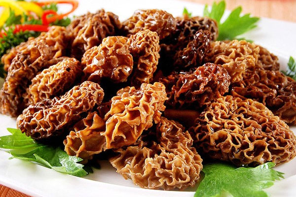 羊肚菌有下奶的功效嗎，糖尿病可以喝羊肚菌湯嗎