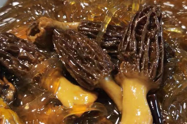 血脂高的人群可以吃羊肚菌嗎 血脂高的人群可以吃羊肚菌嗎