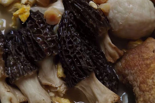 膽固醇高能吃羊肚菌嗎 膽固醇高能吃羊肚菌嗎