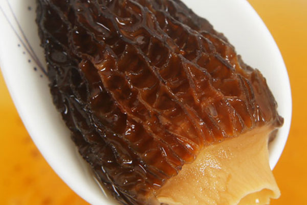 小孩子發(fā)燒可以喝羊肚菌湯嗎 小孩子發(fā)燒可以喝羊肚菌湯嗎
