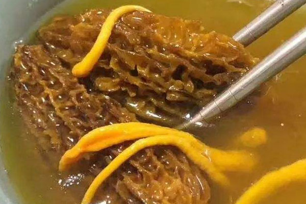 羊肚菌阿膠湯的食用禁忌