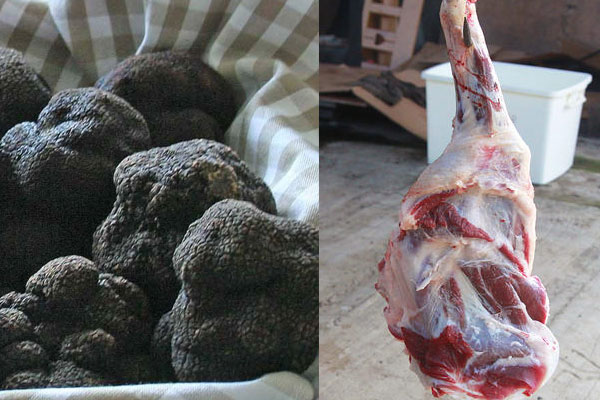 黑松露和羊肉能一起吃嗎