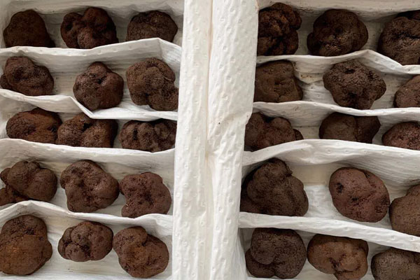 胃不好的人吃松露會(huì)引起脹氣嗎 胃不好的人吃松露會(huì)引起脹氣嗎