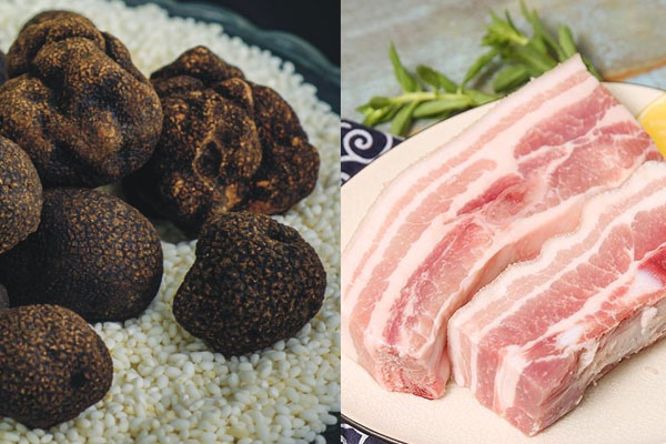 松露可以和五花肉一起紅燒嗎，胃不好吃松露會(huì)脹氣嗎