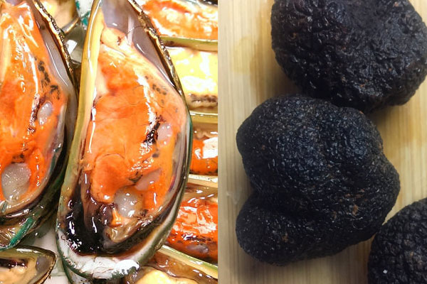 松露能和海虹一起吃嗎，松露可以和瑤柱一起煮湯嗎
