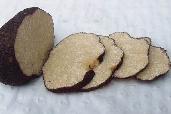黑松露吃了能增大嗎，黑松露的副作用和禁忌