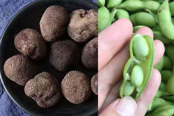 松露可以和毛豆一起吃嗎，具有哪些食用禁忌