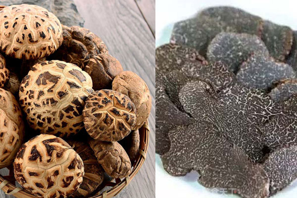 花菇和松露可以一起吃嗎，松露清蒸鱸魚的禁忌