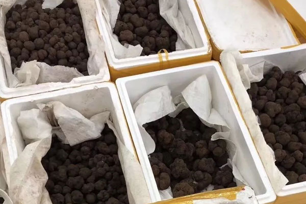黑松露怎么分級(jí)，黑松露怎么切最好