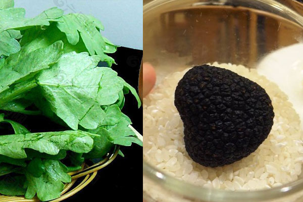 松露可以和茼蒿一起吃嗎，松露炒茼蒿孕婦能吃嗎