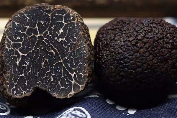 黑松露的皮能吃嗎，凍松露可以水煮嗎