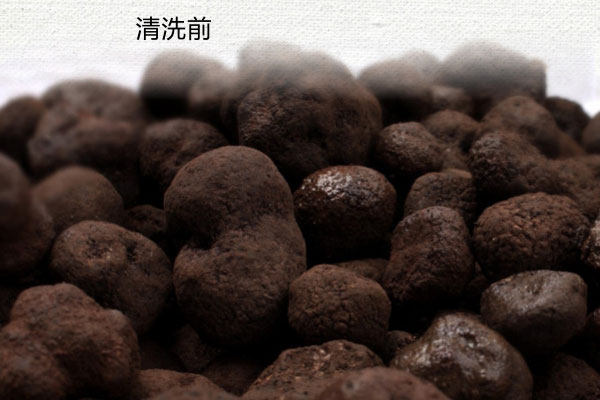 如何看出松露有沒有成熟 如何看出松露有沒有成熟