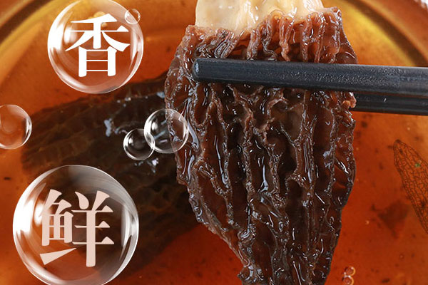 羊肚菌泡水喝效果好還是煮水喝效果好 羊肚菌泡水喝效果好還是煮水喝效果好