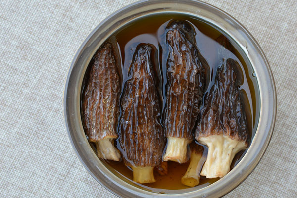 如何用羊肚菌煮粥給寶寶吃，羊肚菌好吃嗎會有怪味嗎