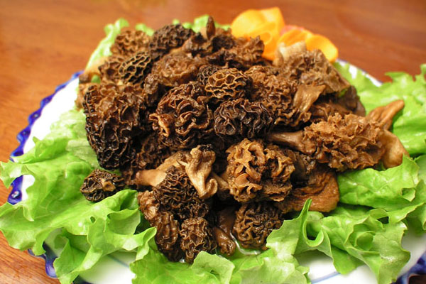 羊肚菌有哪些相克的食物，羊肚菌小孩可以吃嗎