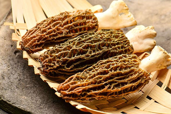 羊肚菌怎么洗才沒(méi)有沙子，一個(gè)干羊肚菌有多少克