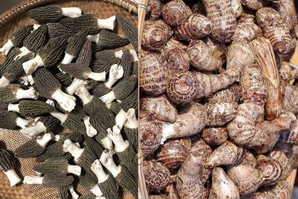  羊肚菌和芋頭相克嗎，烹飪羊肚菌需要放調(diào)味料嗎