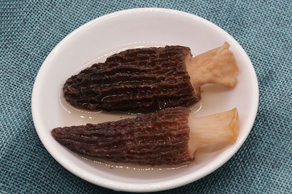 羊肚菌的腳柄怎么清洗才干凈，體弱多病的人可以吃羊肚菌嗎
