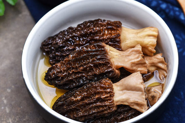 化療人應(yīng)該如何吃羊肚菌