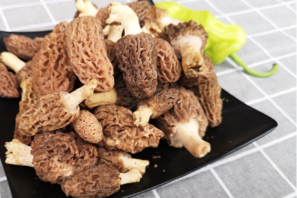 患有子宮肌瘤能不能吃羊肚菌，應該怎么搭配呢