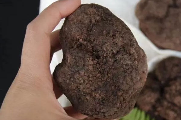 中國松露產量第一嗎 中國松露產量第一嗎