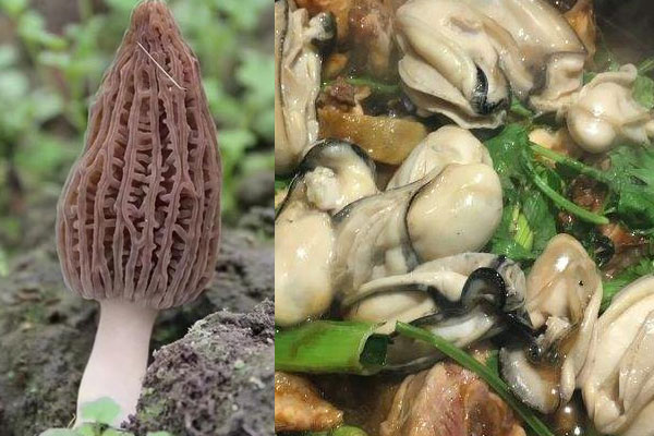 羊肚菌生蠔煲雞的做法，有哪些功效作用