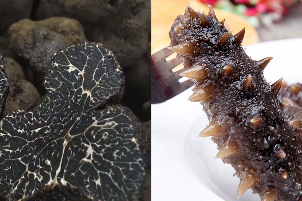 黑松露燉海參的做法，黑松露和海參哪個(gè)好