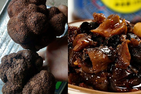 怎么做黑松露蘑菇醬，搭配什么最好