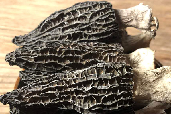 干羊肚菌為什么那么鮮香