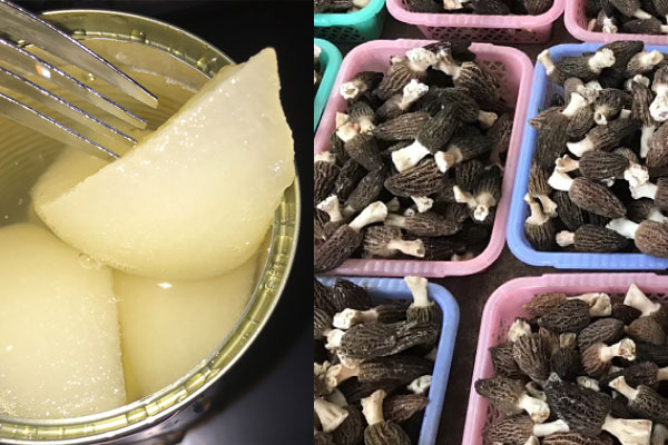 羊肚菌可以燉雪梨糖水嗎 羊肚菌可以燉雪梨糖水嗎