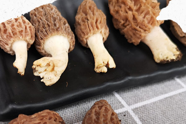 羊肚菌可以長(zhǎng)時(shí)間燉嗎，羊肚菌竹蓀燉雞湯怎么做