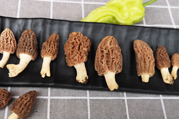 羊肚菌菌霜怎么除掉，新鮮羊肚菌容易煮熟嗎