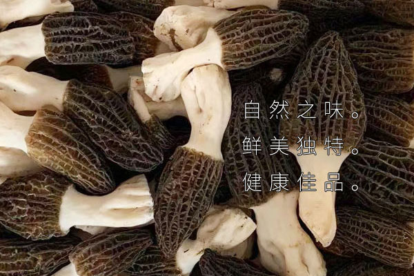 淋巴瘤可以吃羊肚菌嗎，過敏的人為什么不能吃羊肚菌