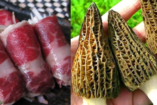 羊肚菌牛肉卷的做法，哪些人適合吃呢