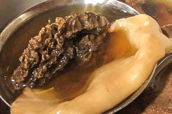野生羊肚菌的生長環(huán)境